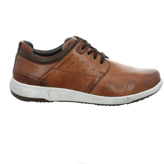 Men Josef Seibel Enrico 13 Gym Shoes COGNAC 8048303
