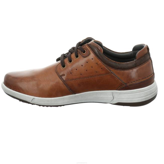Men Josef Seibel Enrico 13 Gym Shoes COGNAC 8048303