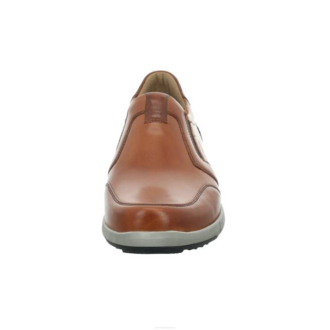 Men Josef Seibel Enrico 18 Gym Shoes COGNAC 8048305