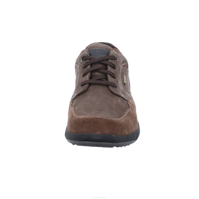 Men Josef Seibel Enrico 51 Gym Shoes BRANDY 8048307