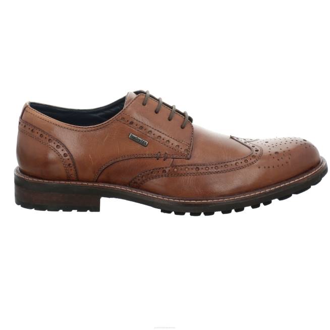 Men Josef Seibel Jasper 53 Lace-Up Shoes COGNAC 8048323