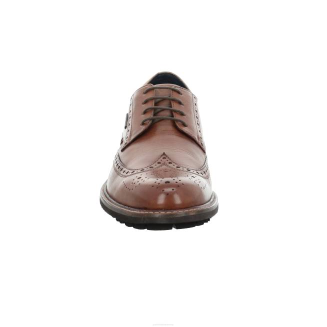Men Josef Seibel Jasper 53 Lace-Up Shoes COGNAC 8048323