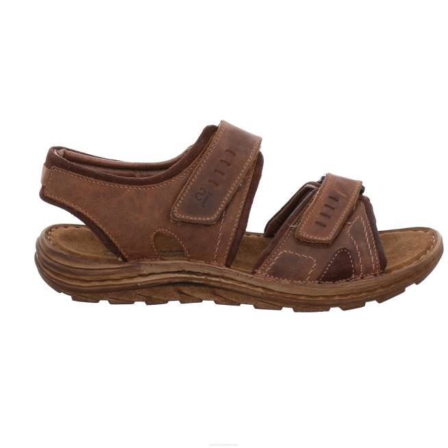 Men Josef Seibel Raul 19 Sandals CASTAGNE 8048364